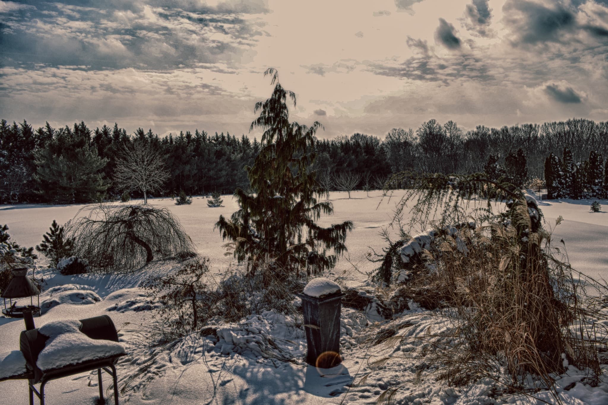 Winter Garden Landscape